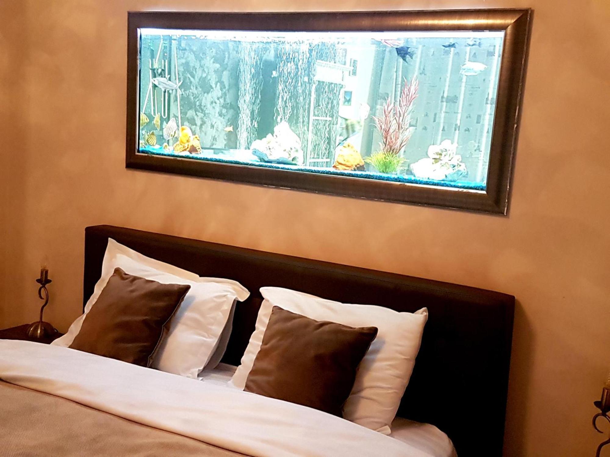 Magic Apartment Braşov Dış mekan fotoğraf