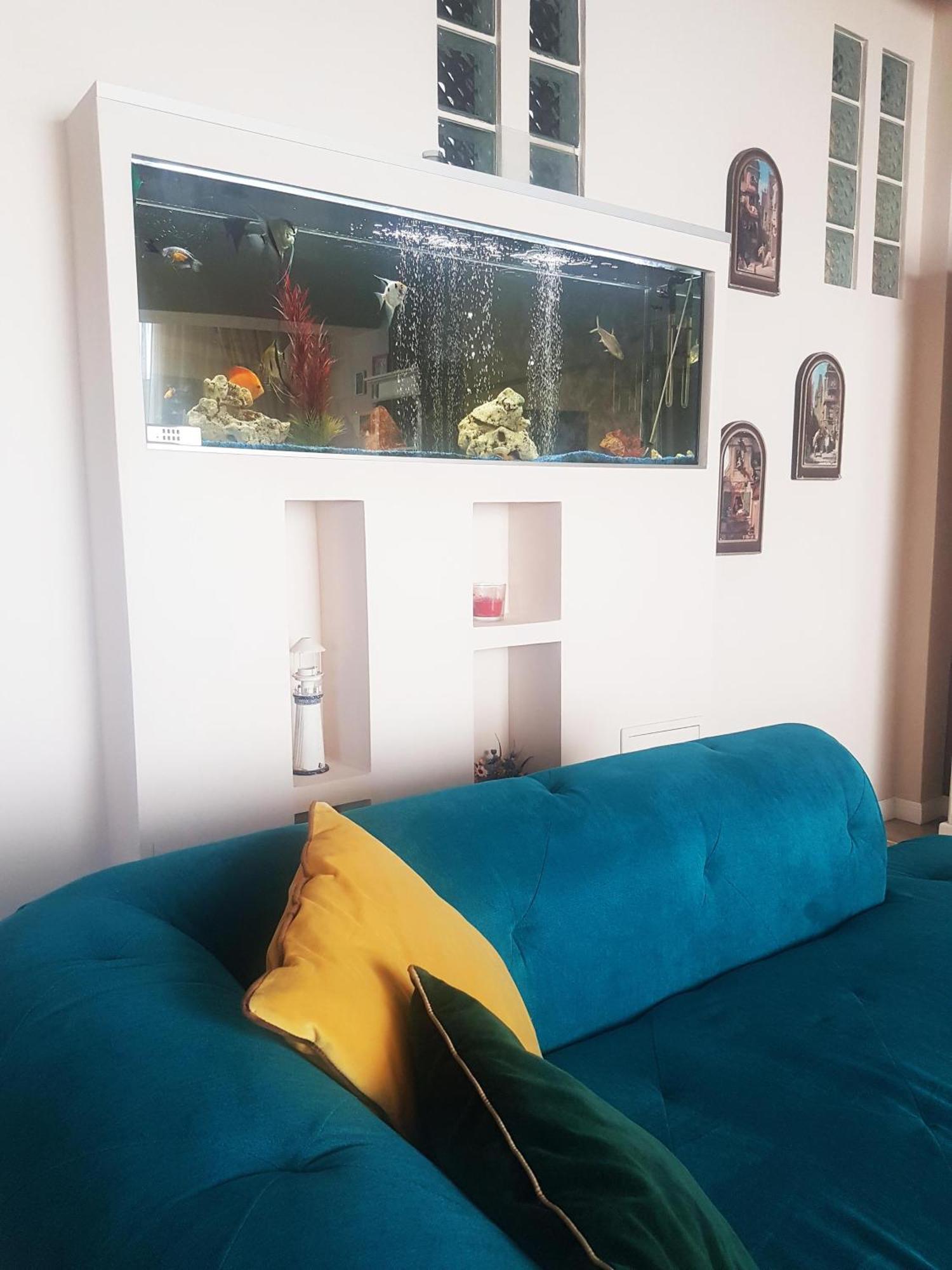 Magic Apartment Braşov Dış mekan fotoğraf